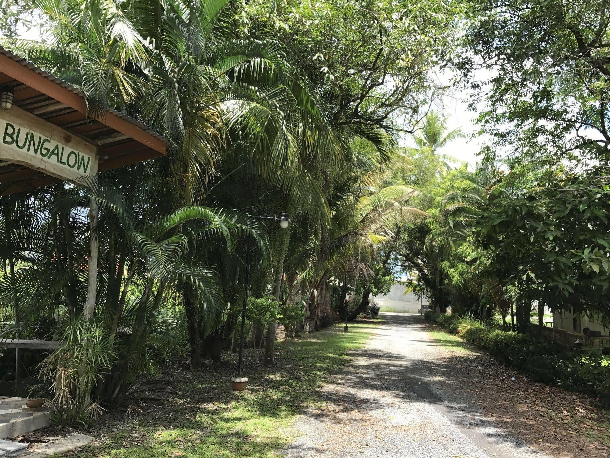 Coconut Bungalow Hotel Nai Yang-stranden Eksteriør billede